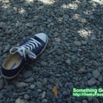 GEDC0064 GEDC0064 150x150 New Chuck Taylor Shoes personal