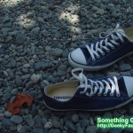 GEDC0065 GEDC0065 150x150 New Chuck Taylor Shoes personal