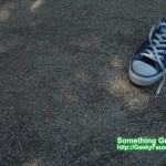 GEDC0068 GEDC0068 150x150 New Chuck Taylor Shoes personal