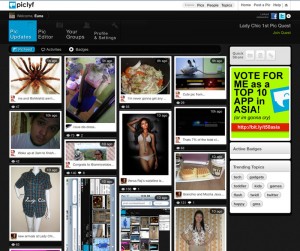2 dashboard 300x251 piclyf dashboard 